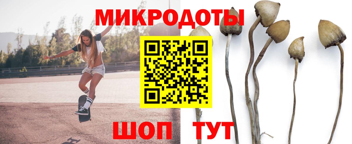 Псилоцибиновые грибы мухоморы  Вход с VPN  Артём  Галлюциногенные грибы ЛСД 